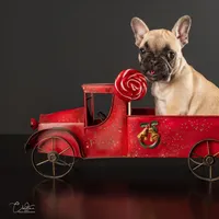 processed/146ba609-a33e-419b-b1bc-4bd9aaefe719/facility/986b3450-6499-4301-a549-9cfea7f1873c