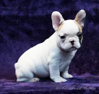 processed/146ba609-a33e-419b-b1bc-4bd9aaefe719/facility/bcfb05f2-8653-4292-8b5d-f6624a3ddbd8