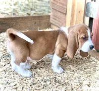 processed/146d2ec1-c265-4136-bf89-836af0ea8bf9/facility/6fa972cd-307f-4f03-9681-bb52ebd26ba5