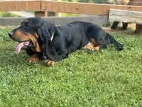 processed/146d2ec1-c265-4136-bf89-836af0ea8bf9/facility/c94dc418-ec65-4ac7-894e-375750856844