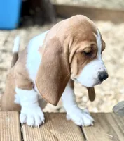 processed/146d2ec1-c265-4136-bf89-836af0ea8bf9/facility/f9f227fc-65db-4a82-8257-11a7e49e5040