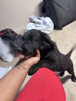 processed/14701443-4f5d-4301-a7a5-915ad6220c4d/listing/455b1de2-501b-4dac-8da4-0f0c7beca815/9d5c184a-cf38-4fd3-8bf9-4cceee5aac90