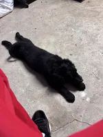 processed/14701443-4f5d-4301-a7a5-915ad6220c4d/listing/455b1de2-501b-4dac-8da4-0f0c7beca815/b5985842-b2a2-4fa9-b5c8-31ff63803b71