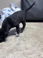 processed/14701443-4f5d-4301-a7a5-915ad6220c4d/listing/82ca1cf7-c765-4220-bbc5-13a6070269c5/226882e6-a534-4bc4-a404-9e3546da557d