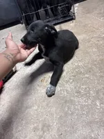 processed/14701443-4f5d-4301-a7a5-915ad6220c4d/listing/82ca1cf7-c765-4220-bbc5-13a6070269c5/d118c643-989d-47b1-9154-f9f551fe2b89