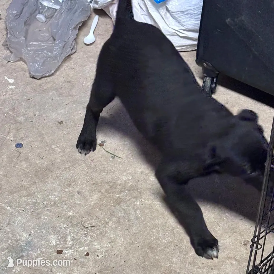 processed/14701443-4f5d-4301-a7a5-915ad6220c4d/listing/87613e09-7faf-4eec-83ba-2964ffaac674/2550cadf-9752-4ed5-882d-3b93ff9aae8b