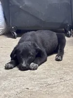 processed/14701443-4f5d-4301-a7a5-915ad6220c4d/listing/87613e09-7faf-4eec-83ba-2964ffaac674/850fb0d1-fdb9-42cc-91f0-6624f966ee59