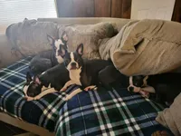 processed/1477d6d9-468e-40ad-a827-79781bfe9ff3/facility/4771c075-f05c-496e-83ba-44896eda8a03