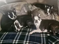 processed/1477d6d9-468e-40ad-a827-79781bfe9ff3/facility/da93c64a-239a-47a5-beab-2991438fb5ac