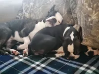 processed/1477d6d9-468e-40ad-a827-79781bfe9ff3/facility/e264c1ee-5b76-44bb-a3d6-cf5d5665d98c