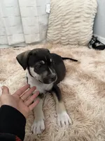 processed/147935c7-90c7-4044-9541-af67cf496325/listing/c0795881-d5c7-4c9f-a304-486c3e1205af/77c8e730-1cda-4113-8081-c4f04e67a4ce