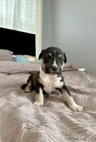 processed/147935c7-90c7-4044-9541-af67cf496325/listing/c0795881-d5c7-4c9f-a304-486c3e1205af/beb96396-a79e-456c-b36c-a26169a45bbe