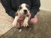 processed/1479c5e9-f7de-4b83-8894-1213bacf2179/listing/12e5ba7b-9270-4269-82c2-5b3537d5c4da/0ec15586-4ade-4ee4-abae-24599a77c54b