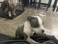 processed/1479c5e9-f7de-4b83-8894-1213bacf2179/listing/12e5ba7b-9270-4269-82c2-5b3537d5c4da/96fbcfd8-cc82-4a98-93cb-a92e9f7ab00e