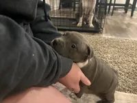 processed/1479c5e9-f7de-4b83-8894-1213bacf2179/listing/4dc800cc-ae36-4680-afd6-206cb405f7fd/52a3f935-e791-4fd4-98a0-48e43045c650