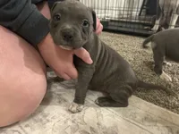 processed/1479c5e9-f7de-4b83-8894-1213bacf2179/listing/4dc800cc-ae36-4680-afd6-206cb405f7fd/96fab245-ea41-4c56-abd0-b0738ee78104