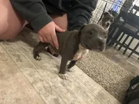 processed/1479c5e9-f7de-4b83-8894-1213bacf2179/listing/4dc800cc-ae36-4680-afd6-206cb405f7fd/dc771d61-c73d-4259-82c9-7c7c572c5bc1