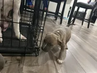 processed/1479c5e9-f7de-4b83-8894-1213bacf2179/listing/79329ab3-68d8-4a6f-93b2-d6d9d5a81396/2cf4b933-efbc-43d7-94c4-27d985c0d37e