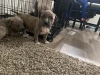 processed/1479c5e9-f7de-4b83-8894-1213bacf2179/listing/79329ab3-68d8-4a6f-93b2-d6d9d5a81396/70ef176d-528b-4228-9c5a-dc00bb6308b5