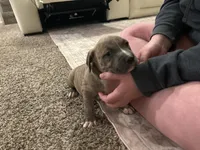 processed/1479c5e9-f7de-4b83-8894-1213bacf2179/listing/79329ab3-68d8-4a6f-93b2-d6d9d5a81396/a4abb491-9147-4866-a6e1-234ca732fad7