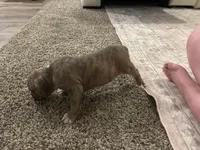 processed/1479c5e9-f7de-4b83-8894-1213bacf2179/listing/79329ab3-68d8-4a6f-93b2-d6d9d5a81396/cb7e52c5-fd9c-4841-ac94-bcdc8b88bfa5