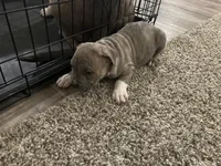 processed/1479c5e9-f7de-4b83-8894-1213bacf2179/listing/8010911e-8f37-43b8-ad7d-43635647e08f/5d77de14-e30e-402d-b32e-8bc89fd4ae57