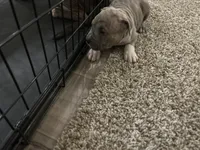 processed/1479c5e9-f7de-4b83-8894-1213bacf2179/listing/8010911e-8f37-43b8-ad7d-43635647e08f/6b283805-dbc2-4e05-aa80-5371e3ab291e