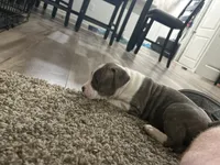 processed/1479c5e9-f7de-4b83-8894-1213bacf2179/listing/80e89d8d-9b9c-4122-a1dc-a893b5930592/04c7cd6e-d6ef-4e0b-9561-2ee994259bb6