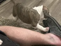 processed/1479c5e9-f7de-4b83-8894-1213bacf2179/listing/80e89d8d-9b9c-4122-a1dc-a893b5930592/075d7b2f-7426-4daf-81f8-e76c1ac9e973