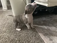 processed/1479c5e9-f7de-4b83-8894-1213bacf2179/listing/80e89d8d-9b9c-4122-a1dc-a893b5930592/29188955-510e-4d51-953e-31b4d943afe2