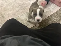 processed/1479c5e9-f7de-4b83-8894-1213bacf2179/listing/80e89d8d-9b9c-4122-a1dc-a893b5930592/95844d0b-9b87-4cc8-9f07-7fa64d96c019