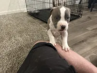 processed/1479c5e9-f7de-4b83-8894-1213bacf2179/listing/80e89d8d-9b9c-4122-a1dc-a893b5930592/e1af69d5-733f-44de-895b-208d14956372