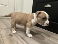 processed/1479c5e9-f7de-4b83-8894-1213bacf2179/listing/d493a804-8937-4d7d-add1-7ec640a132b1/55ef4b98-8aee-42da-8a9f-2d0f7d1ff377