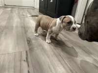 processed/1479c5e9-f7de-4b83-8894-1213bacf2179/listing/d493a804-8937-4d7d-add1-7ec640a132b1/59fe0be1-b6f5-4432-a2bd-71140fb90138