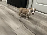 processed/1479c5e9-f7de-4b83-8894-1213bacf2179/listing/d493a804-8937-4d7d-add1-7ec640a132b1/86d1d772-5ffe-4923-8db6-0ac1ec3b6150