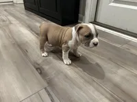 processed/1479c5e9-f7de-4b83-8894-1213bacf2179/listing/d493a804-8937-4d7d-add1-7ec640a132b1/e7f33290-e357-42ce-8f8a-685e4ff3b794