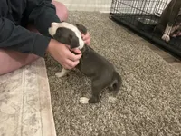 processed/1479c5e9-f7de-4b83-8894-1213bacf2179/listing/dd209416-3786-4d35-badf-9bd9756d5c75/3959da3b-da6f-46ec-85f2-a978df165a7a