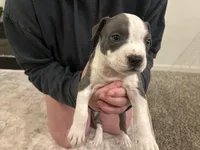 processed/1479c5e9-f7de-4b83-8894-1213bacf2179/listing/dd209416-3786-4d35-badf-9bd9756d5c75/ac228381-c2bf-490c-8e17-8a5f9cd744ae