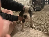 processed/1479c5e9-f7de-4b83-8894-1213bacf2179/listing/dd209416-3786-4d35-badf-9bd9756d5c75/e969f5aa-8c3f-435b-b663-99a8864d8b8e