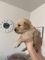 processed/147ffb24-fccd-4dda-8980-323b9b720f04/listing/05329ea2-40bb-4f7f-b7b7-ac11c925fb7c/1283fa73-8eb1-4bfe-a7a2-117893726a5d