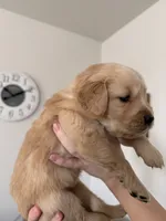 processed/147ffb24-fccd-4dda-8980-323b9b720f04/listing/05329ea2-40bb-4f7f-b7b7-ac11c925fb7c/469e45c9-9c98-45ea-bc53-351b02b68d0a