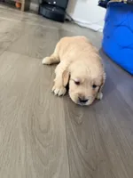 processed/147ffb24-fccd-4dda-8980-323b9b720f04/listing/05329ea2-40bb-4f7f-b7b7-ac11c925fb7c/6bb9f2b2-87d4-4e08-b046-67a7256790b5