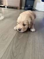 processed/147ffb24-fccd-4dda-8980-323b9b720f04/listing/05329ea2-40bb-4f7f-b7b7-ac11c925fb7c/a60e1000-5d07-485a-8d44-2cf94a72f789