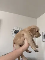 processed/147ffb24-fccd-4dda-8980-323b9b720f04/listing/b34ef808-5be8-4b4d-a17c-be18af7b8c60/10762463-2df5-44ec-bdf1-57f193a5e05e