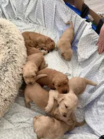 processed/147ffb24-fccd-4dda-8980-323b9b720f04/listing/b34ef808-5be8-4b4d-a17c-be18af7b8c60/31d7a85e-99cb-4c36-960a-3a0982ca9788