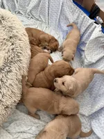 processed/147ffb24-fccd-4dda-8980-323b9b720f04/listing/b34ef808-5be8-4b4d-a17c-be18af7b8c60/3b99e922-b0a8-48a9-9a1c-4823563f3382