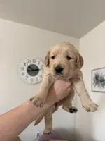 processed/147ffb24-fccd-4dda-8980-323b9b720f04/listing/b34ef808-5be8-4b4d-a17c-be18af7b8c60/3f4cb310-dbaf-4e43-a6c0-2d4be7bf834d