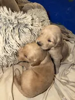 processed/147ffb24-fccd-4dda-8980-323b9b720f04/listing/b34ef808-5be8-4b4d-a17c-be18af7b8c60/545d35b9-050b-48c6-aae3-741b1a697f72