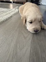 processed/147ffb24-fccd-4dda-8980-323b9b720f04/listing/b34ef808-5be8-4b4d-a17c-be18af7b8c60/90da677a-7125-438d-b26b-2f0c6a0011a7