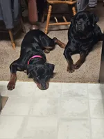 processed/148f5072-66d8-4238-8104-be230318032b/facility/3c8173de-0f74-4e0c-8b15-73abf6cfe02b